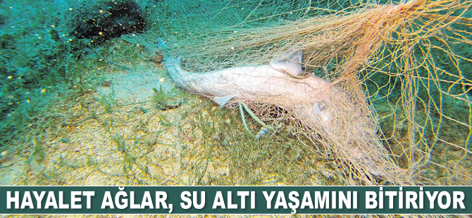 Vahşi balıkçılık, su altı yaşamını bitiriyor