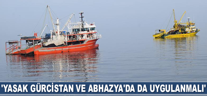 Mustafa Sarı: Yasak Gürcistan ve Abhazya'da da uygulanmalı