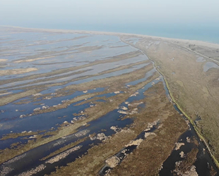 Kızılırmak Deltası’nda deniz suyu tehlikesi ortaya çıktı
