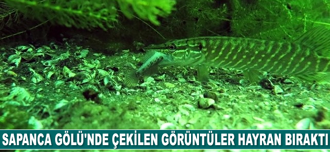 Sapanca Gölü’nün altında çekilen görüntüler hayran bıraktı