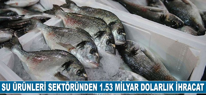 Su ürünleri sektöründe tarihin en yüksek ihracat rakamına ulaşıldı