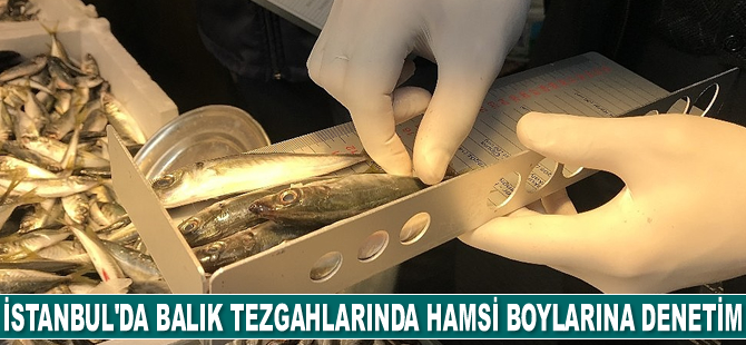 İstanbul'da balık tezgahlarında hamsi boylarına denetim gerçekleştirildi