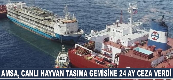 AMSA, Barkly Pearl canlı hayvan taşıma gemisine 24 ay ceza verdi