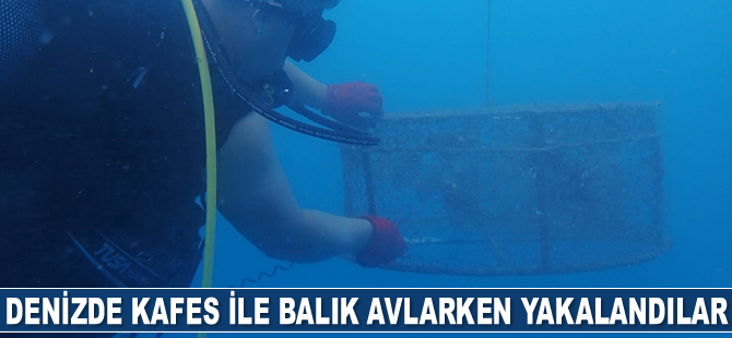 Denizde kafes ile balık avlarken yakalandılar