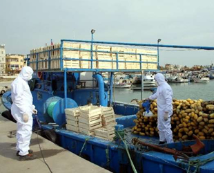 Karaduvar Balıkçı Barınağı’ndaki tekneler dezenfekte edildi