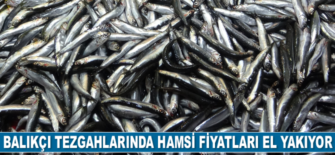 Çanakkale’de hamsi fiyatları el yakıyor