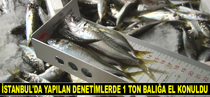İstanbul’da yapılan denetimlerde 1 ton balığa el konuldu
