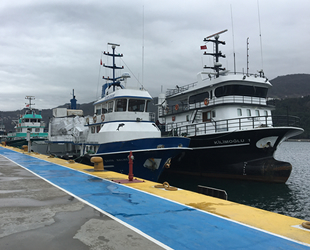 Karadeniz’de balıkçı tekneleri ve yük gemileri limanlara sığındı