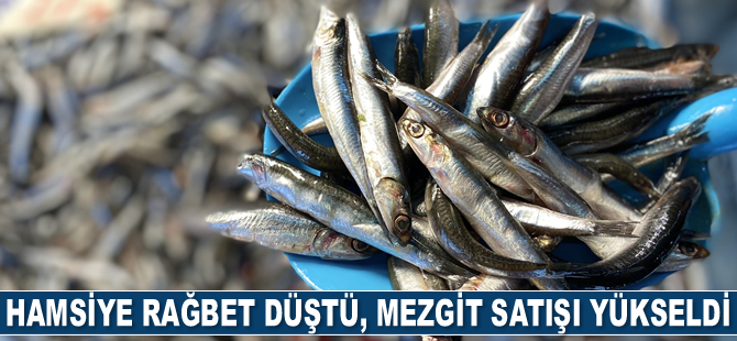 Hamsiye rağbet düştü, barbun ve mezgit satışı yükseldi
