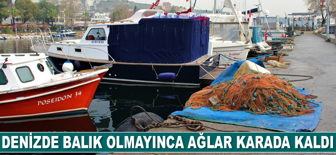 Kocaelili balıkçılar bilinçsiz avcılığa tepki gösterdi