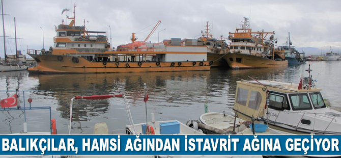 Sinoplu balıkçılar, hamsi ağından istavrit ağına geçiyor