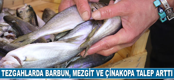 Tezgahlarda barbun, mezgit ve çinakopa talep arttı