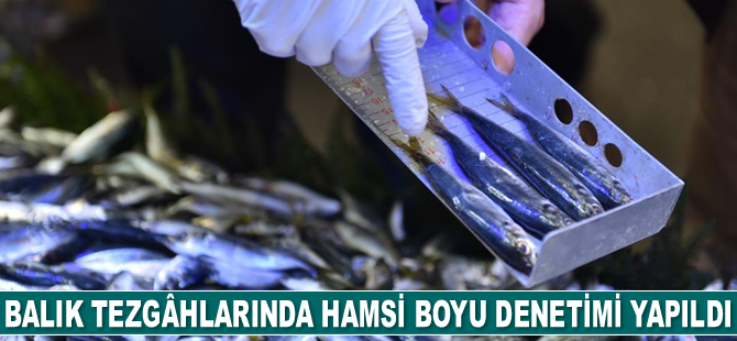 Tuzla’da balık tezgâhlarında hamsi boyu denetimi gerçekleştirildi