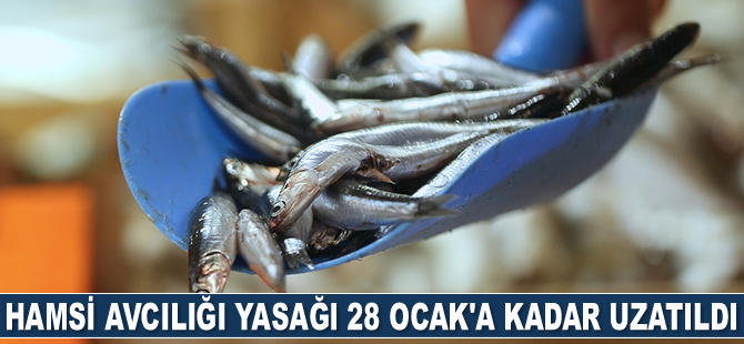 Hamsi avcılığı yasağı 28 Ocak'a kadar uzatıldı