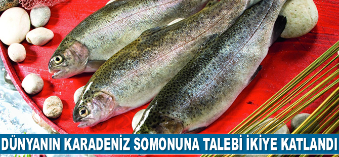 Dünyanın Karadeniz somonuna talebi ikiye katlandı