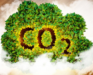 Shell ve ExxonMobil karbondioksit depolama projesi geliştiriyor