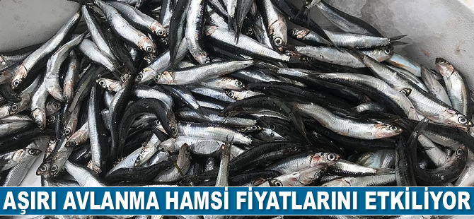 Aşırı avlanma hamsi fiyatlarını etkiliyor