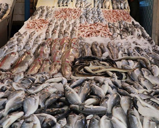 Balıkta boya ve ağırlık hilesi olduğu ortaya çıktı