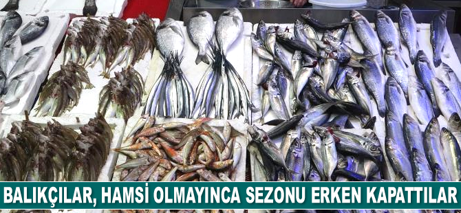 Hamsi olmayınca sezonu erken kapattılar