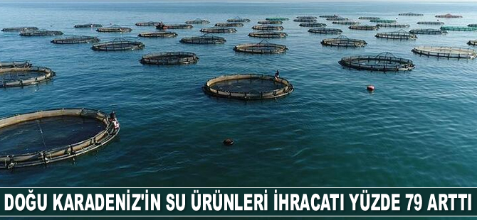 Doğu Karadeniz'in 2020'de su ürünleri ihracatı yüzde 79 arttı