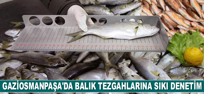 Gaziosmanpaşa’da balık tezgahlarına denetim yapıldı