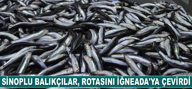 Sinoplu balıkçılar, rotasını yasaklı bölge dışında kalan İğneada’ya çevirdi