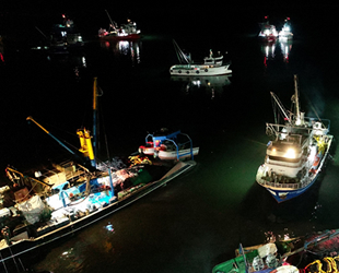 İğneada'da 250 tekne hamsi peşine düştü
