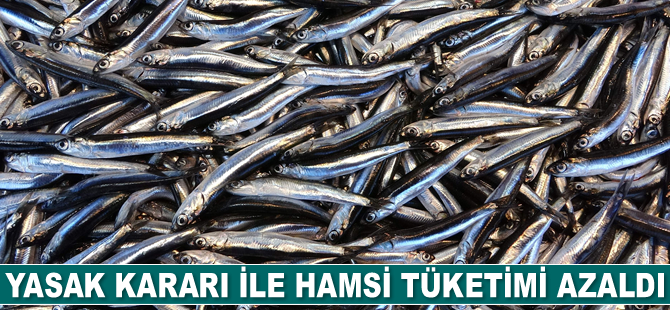 İstanbul’a taze hamsiler İğneada’dan geliyor