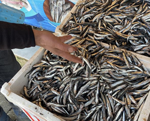 Düzceli balıkçılar yasağın kalkmasını bekliyor