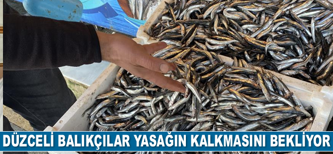Düzceli balıkçılar yasağın kalkmasını bekliyor