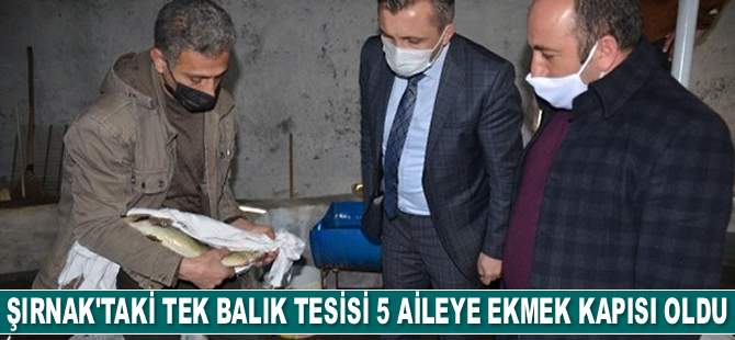 Şırnak'taki tek balık tesisi 5 aileye ekmek kapısı oldu