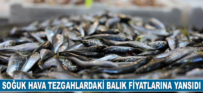 Soğuk hava balık fiyatlarına yansıdı