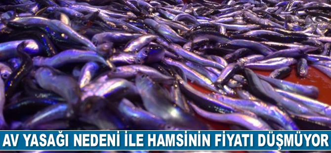 Vatandaşların balık kültürü değişiyor