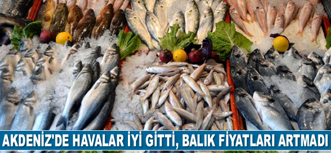 Akdeniz'de havalar iyi gitti, balık fiyatları artmadı