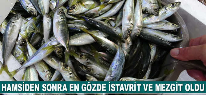 Trabzon’da avı yasaklanan hamsiden sonra en gözde istavrit ve mezgit oldu
