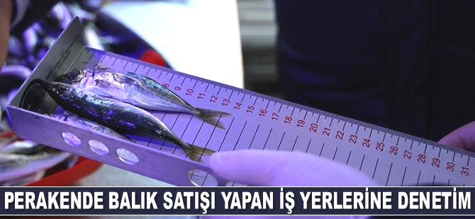 Bilecik’te balıkların boyları teker teker ölçüldü