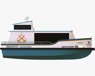 İstanbullular deniz taksinin rengine karar verdi