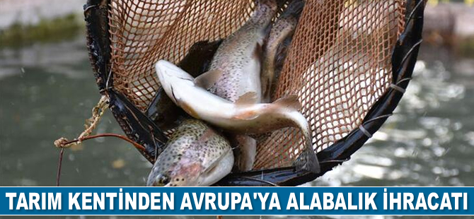 Fırat Nehri'nde yetiştirilen alabalıklar yurt dışına ihraç ediliyor