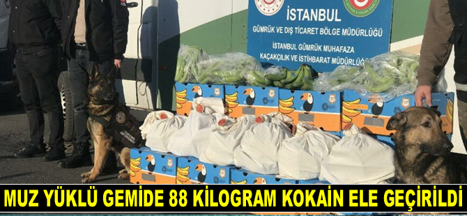 Ambarlı Limanı'nda muz yüklü gemide 88 kilogram kokain ele geçirildi