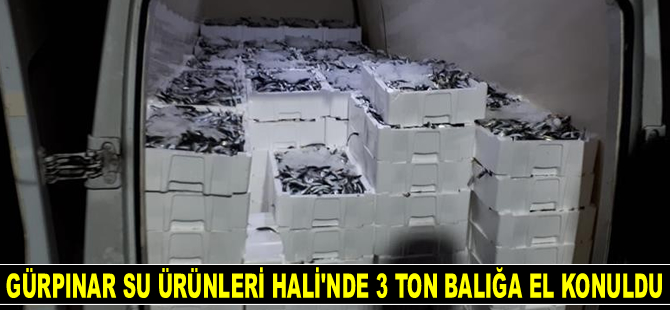 Gürpınar Su Ürünleri Hali'nde 3 ton balığa el konuldu