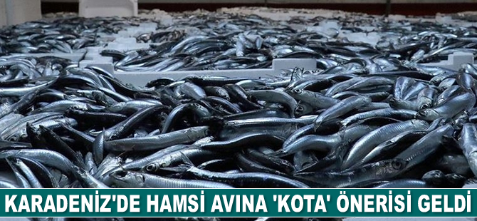 Karadeniz’de hamsi avına ‘kota’ önerisi geldi