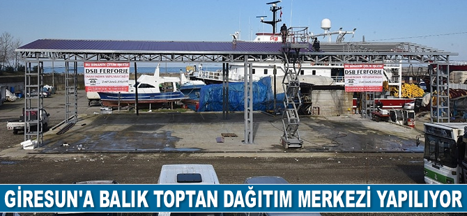 Giresun'a balık toptan dağıtım merkezi yapılıyor