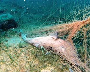 Hayalet ağlar, geri dönüştürülecek