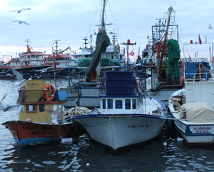 İğneada’da balıkçılar limana boş kasalar ile dönüyor