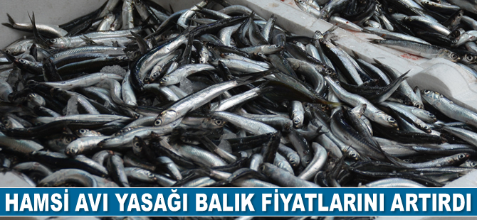 Hamsi avı yasağı balık fiyatlarını artırdı