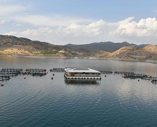 Malatya'dan 11 ülkeye 6 bin tonluk balık ihracatı gerçekleştirildi