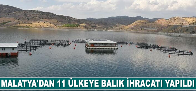 Malatya'dan 11 ülkeye 6 bin tonluk balık ihracatı gerçekleştirildi