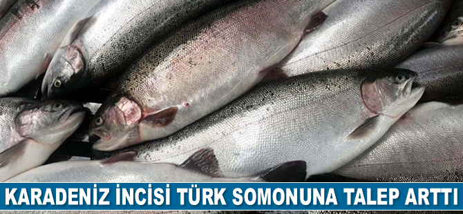 Türk somonuna talep arttı