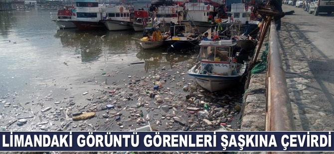 Limandaki görüntü görenleri şaşkına çevirdi