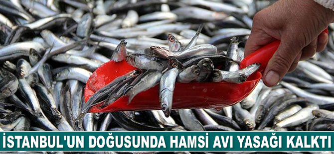 İstanbul’un doğusu ve Kocaeli sınırları içerisinde hamsi avı yasağı kalktı